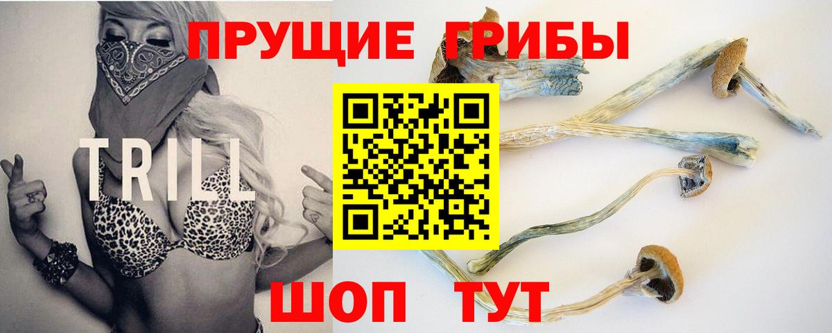 Галлюциногенные грибы Cubensis Ухта
